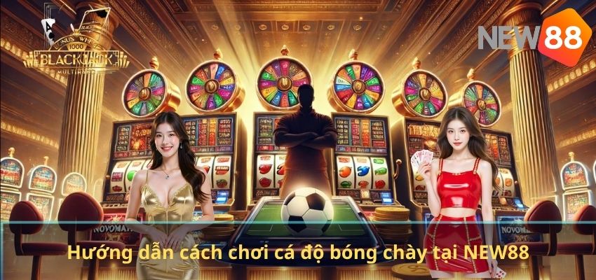 Cá Độ Bóng Chày – Kinh Nghiệm Cược Hiệu Quả Dành Cho Người Chơi Tại NEW88 Hướng dẫn cách chơi cá độ bóng chày tại NEW88